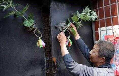 端午节悬挂艾草佩香囊，传统习俗背后的深层意义