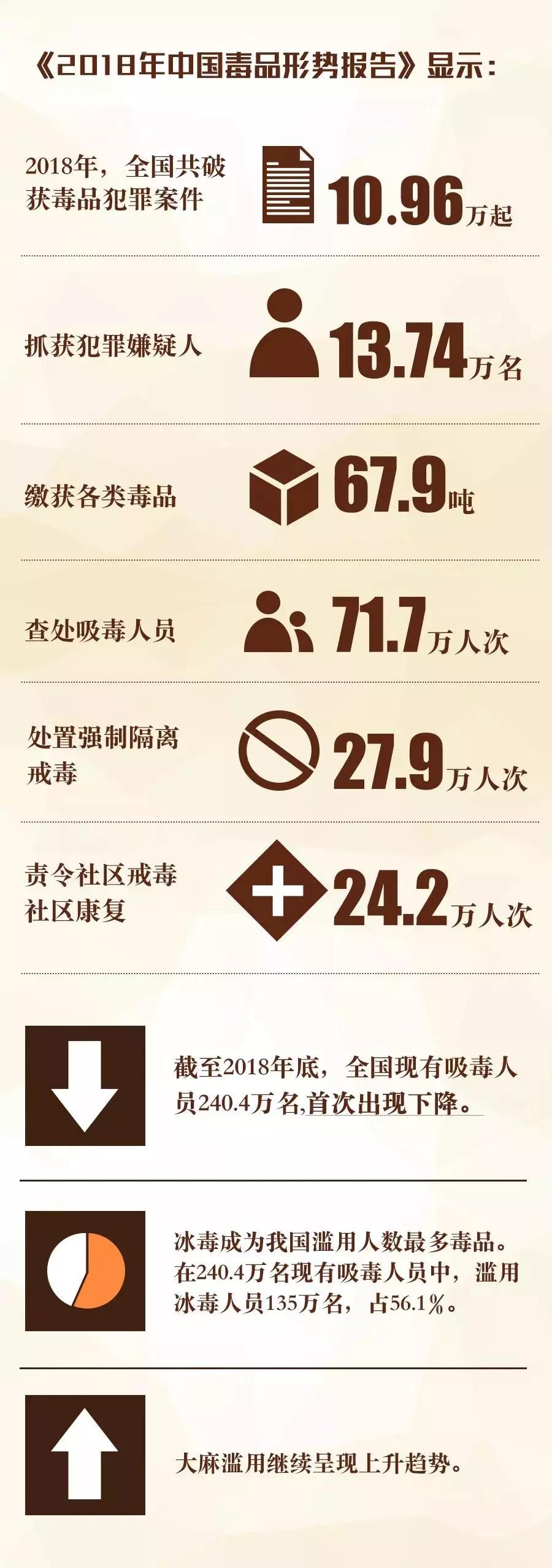 全国吸毒人员现状，挑战与应对策略