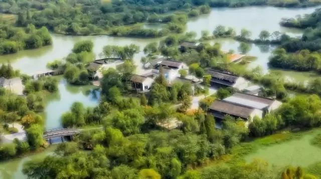 杭州西溪湿地端午，传统与自然的完美交响