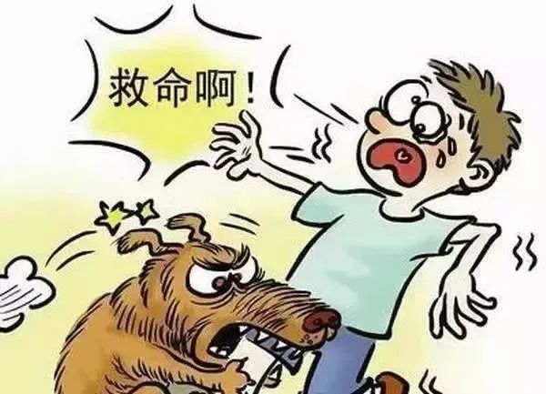 女子私闯房屋被狗咬伤事件引发的责任归属探讨