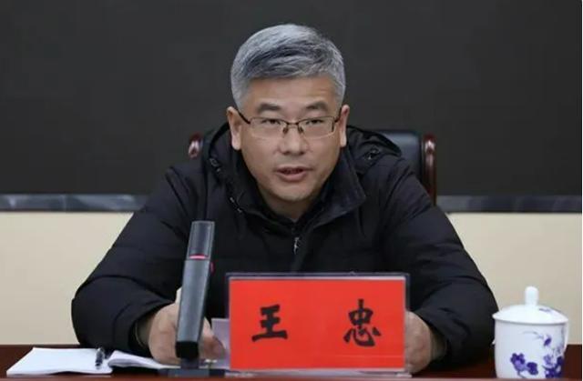 退休老虎主动投案背后的故事