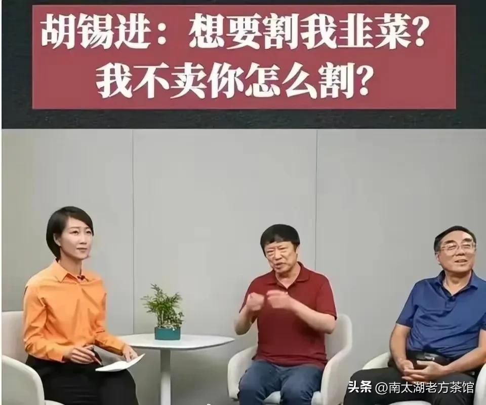胡锡进炒股第二天盈利，理性投资与精准判断展现魅力
