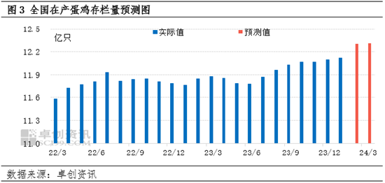 苹果市场下游淡季交易状况深度解析，挑战与机遇并存的传统销售淡季与批发市场交易分析