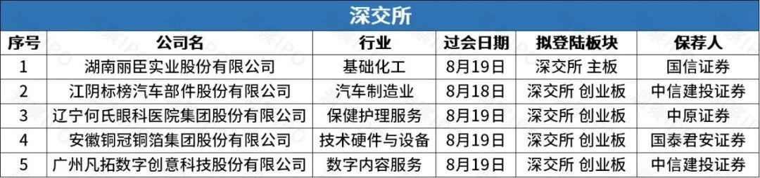 春立医疗回购行动，市场洞察中的积极信号