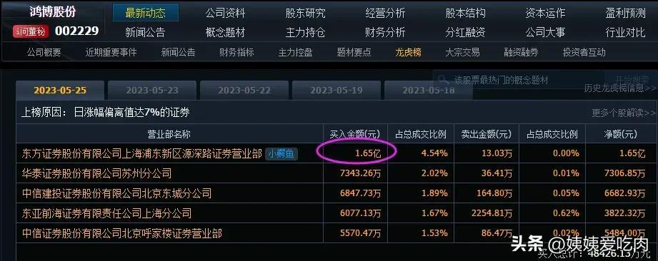 鸿博股份内幕揭秘，前实控人与高管联手揭露黑幕真相