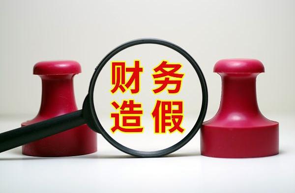 上交所严盯财务造假，筑牢市场诚信基石——注册制实施首单聚焦点