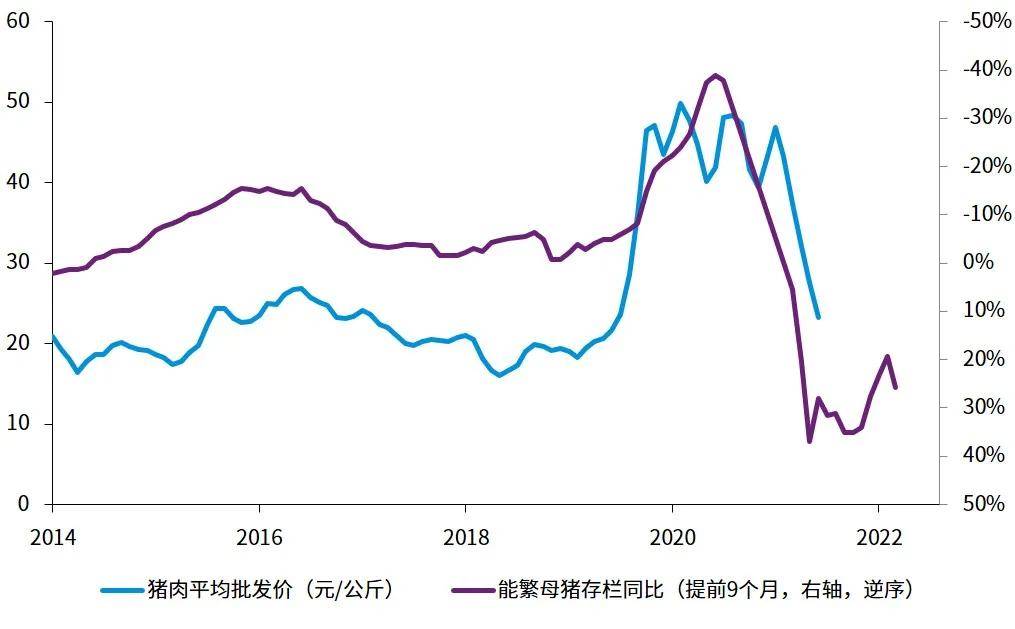 河南南阳花生市场深度观察，6月花生价格行情分析与展望