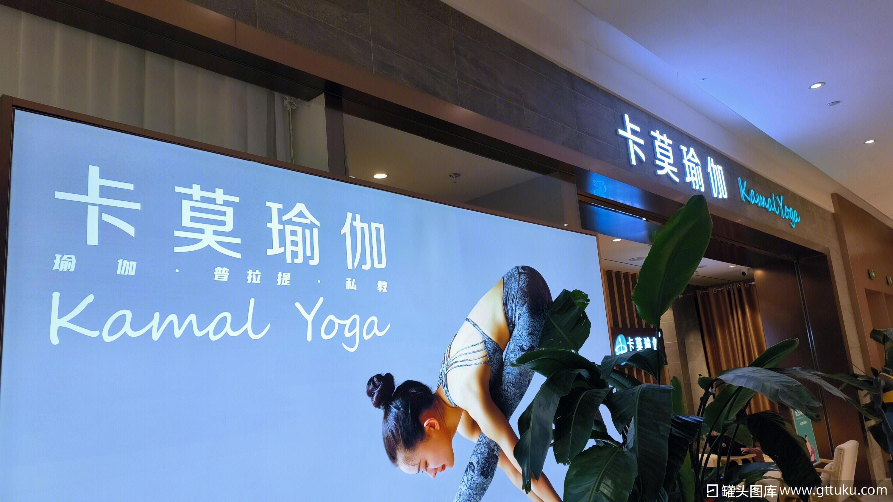 卡莫瑜伽永久闭店背后的原因与启示，真格基金投资的探索之路