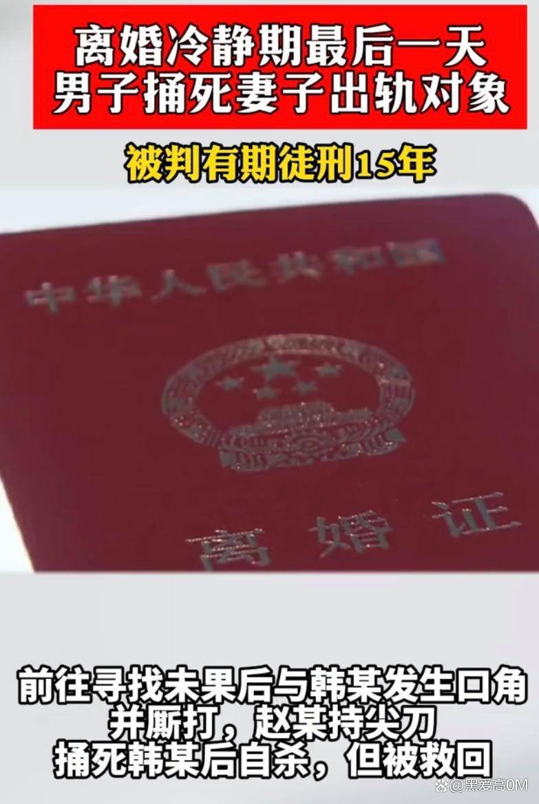 男子离婚冷静期最后一天捅死妻子出轨对象，冲动背后的法律审判