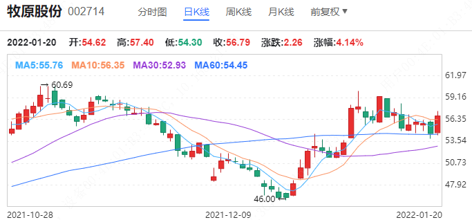 广博股份面临双重打击，股价大跌与一季度净利润大幅下滑