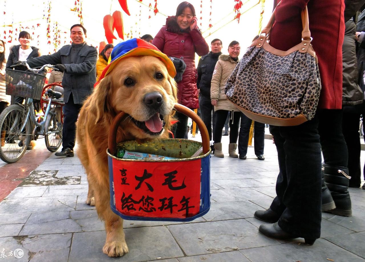 网络环境下的健康挑战，多位捏捏博主因炎症困扰退圈的深度思考