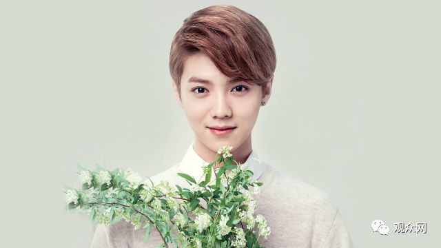 关晓彤零点送祝福，鹿晗生日背后的情感解读，他们是否真的分手了？