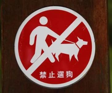郑州辟谣，早晚遛狗传闻不实