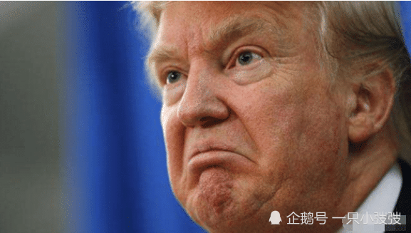 特朗普怒斥NBC记者，言论引发热议