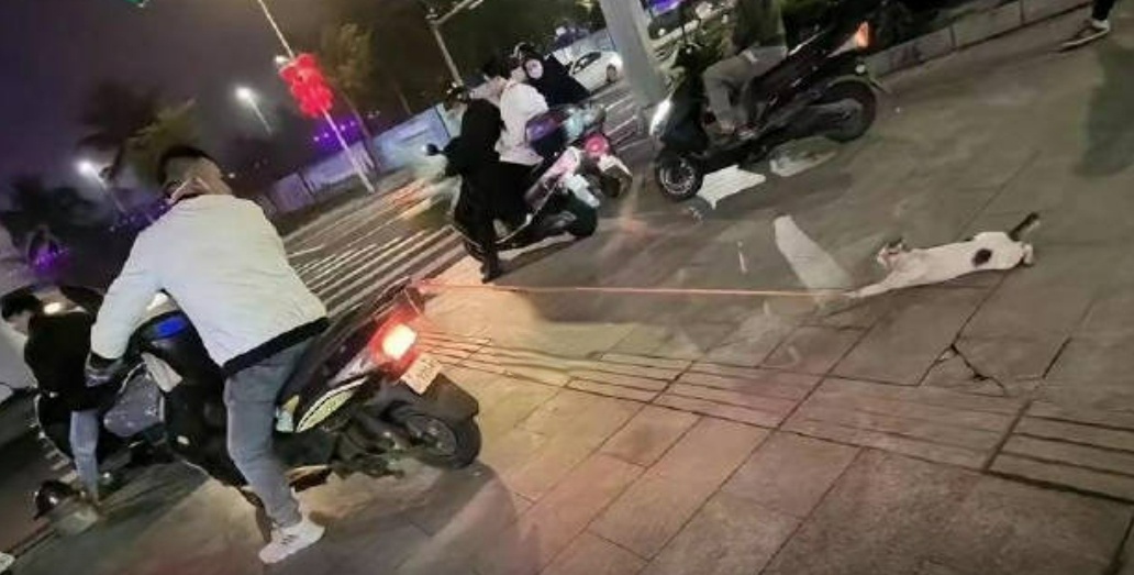 警方回应，宝马车拖行小猫事件实为意外事件
