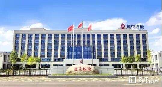 莲花控股，调味品与食品研发、生产与销售的领航者