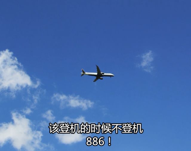错过航班后的无助与心声，一位跪地哭喊女子的故事