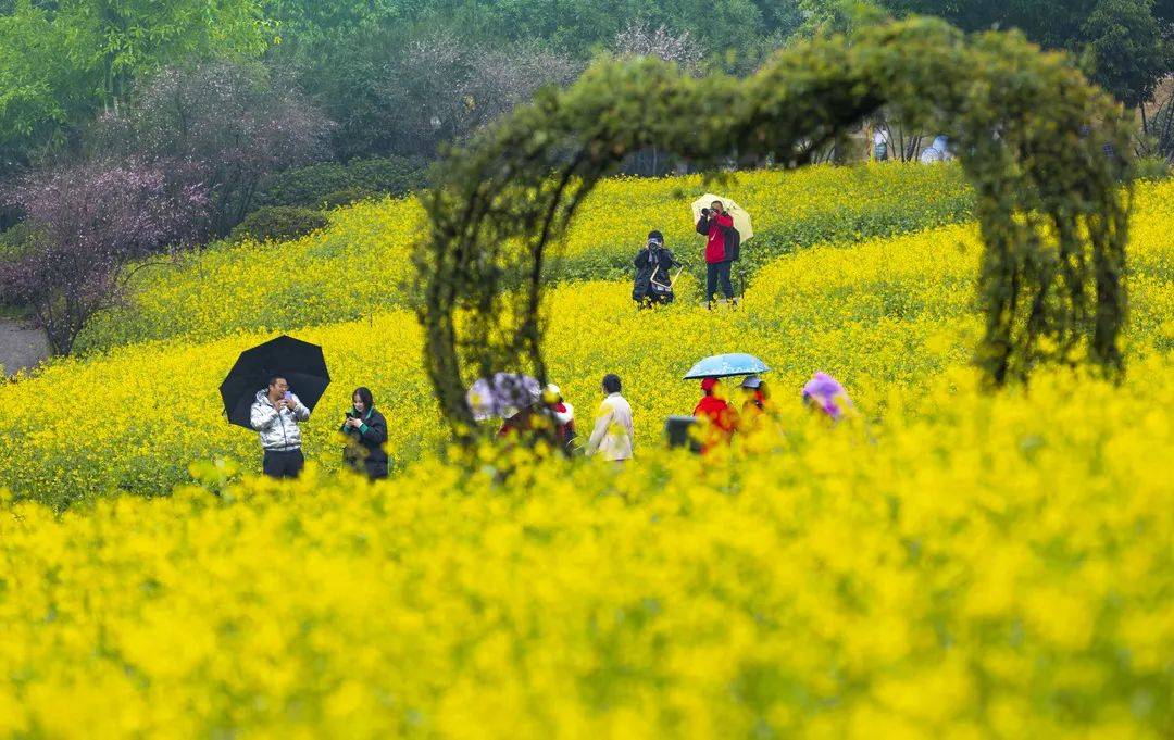 春日踏青赏花之旅，追寻春天的足迹