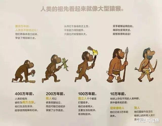 颠覆认知的历程之旅，人类简史
