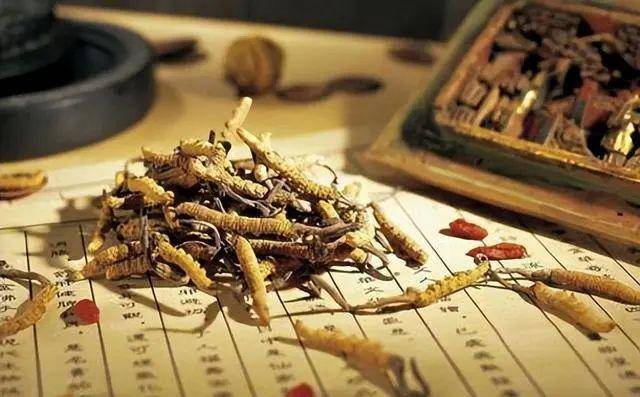 子夜湿气中的独特香气品味