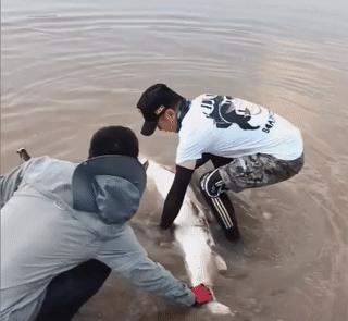 重庆一父亲带儿女钓鱼，悲剧瞬间三人落水身亡