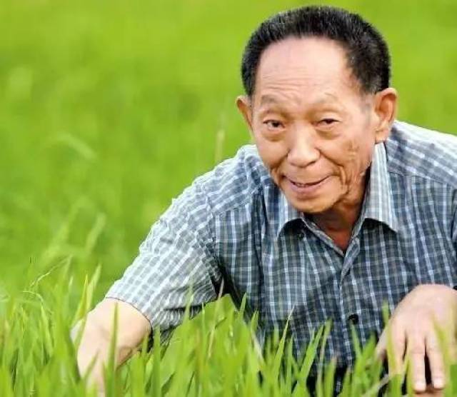 袁隆平，点亮年轻人希望的明灯
