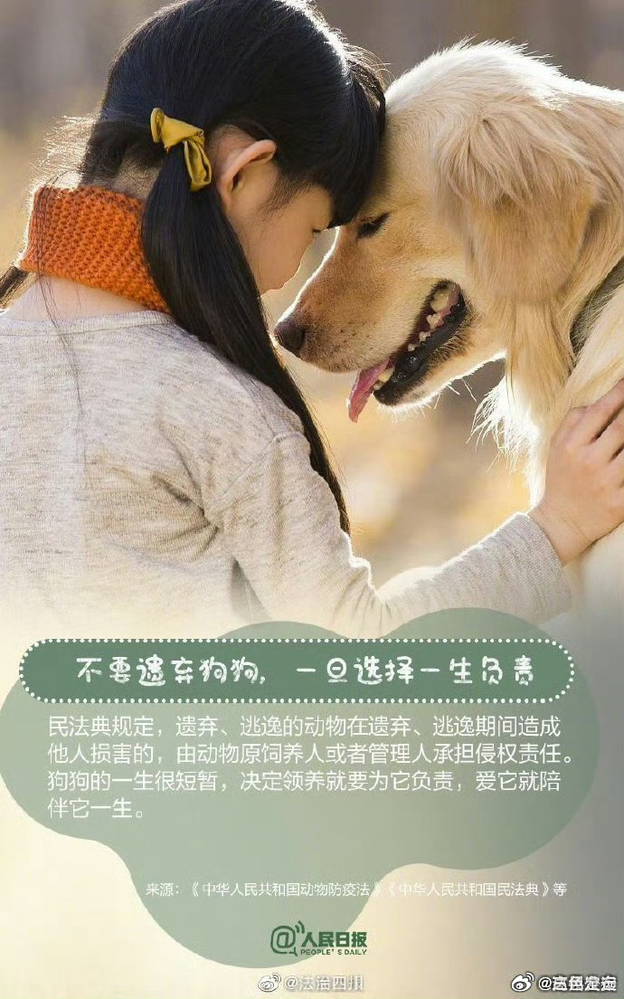 国内 第8页