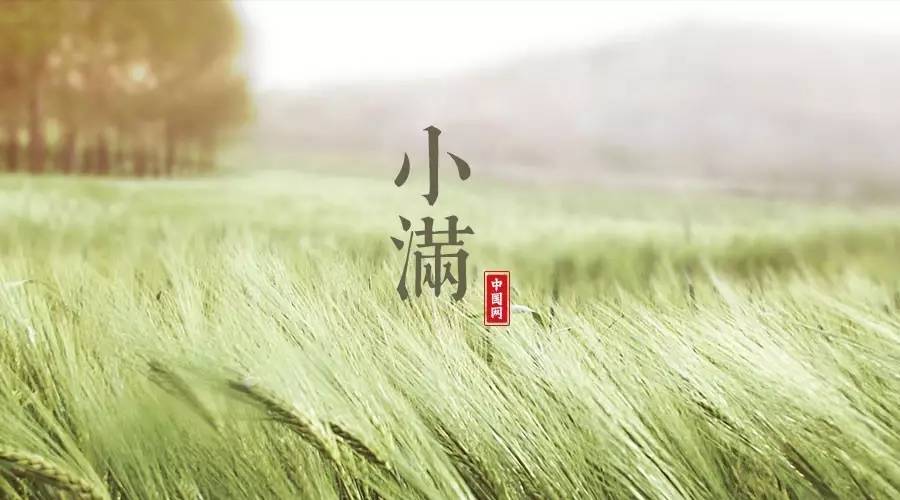 小满之后为何没有大满，自然与人生的哲学思考