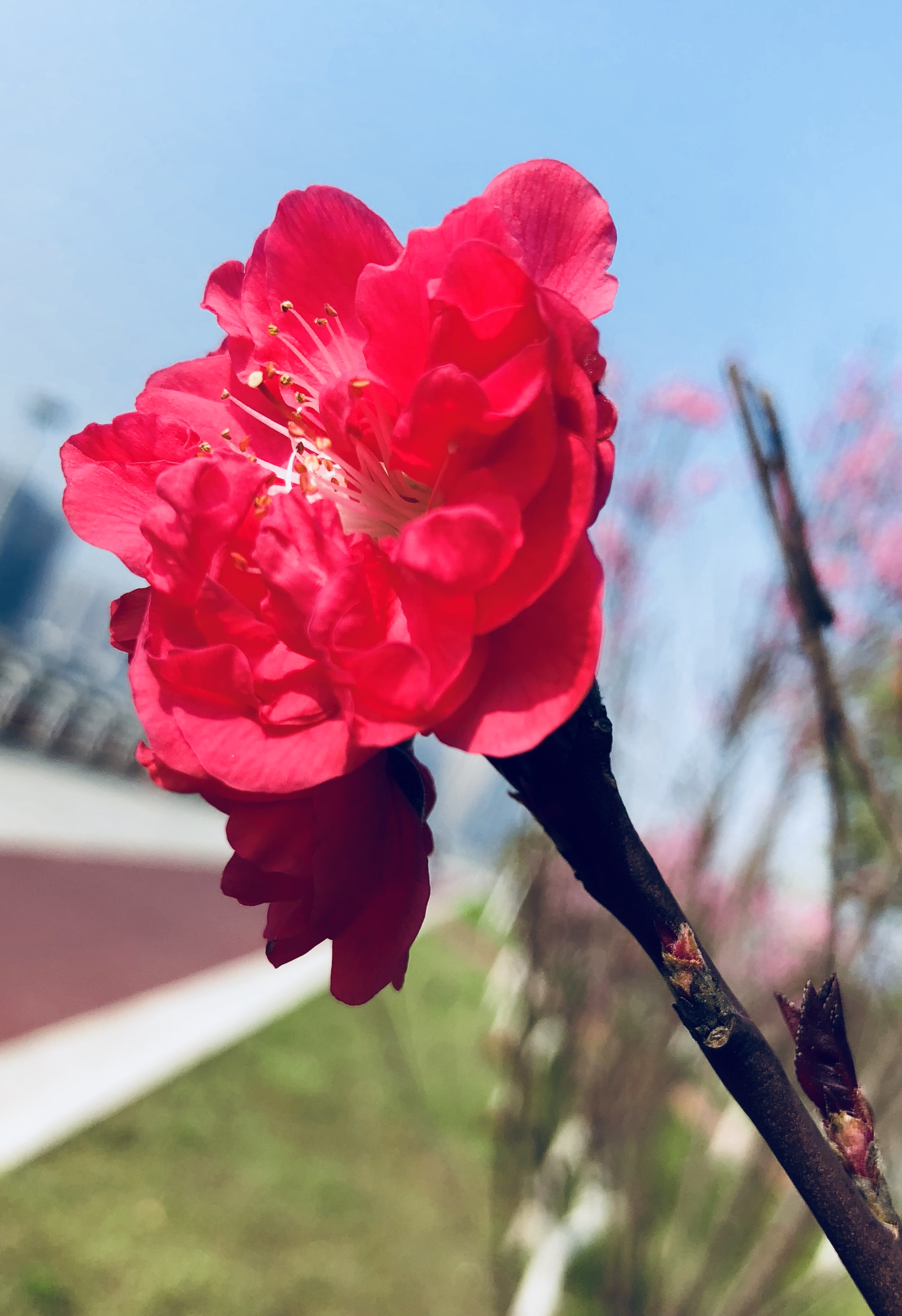 国内 第3页