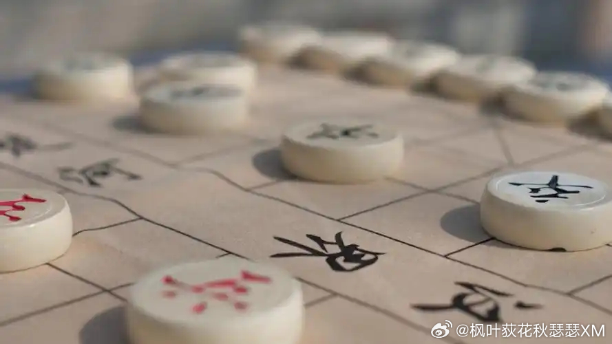 你非棋子，乃我妻