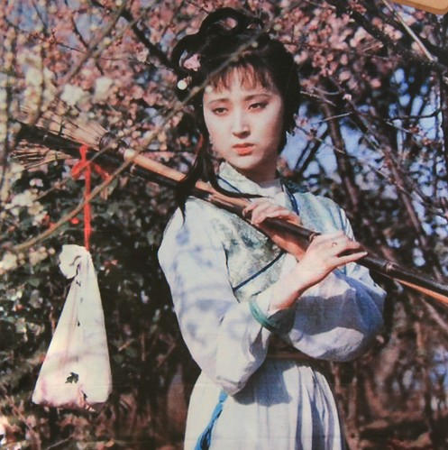 林黛玉，贾家与林家的交织人物