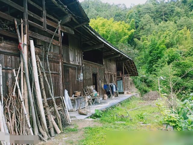 农村变迁，那些曾经随处可见的风景为何变得罕见？