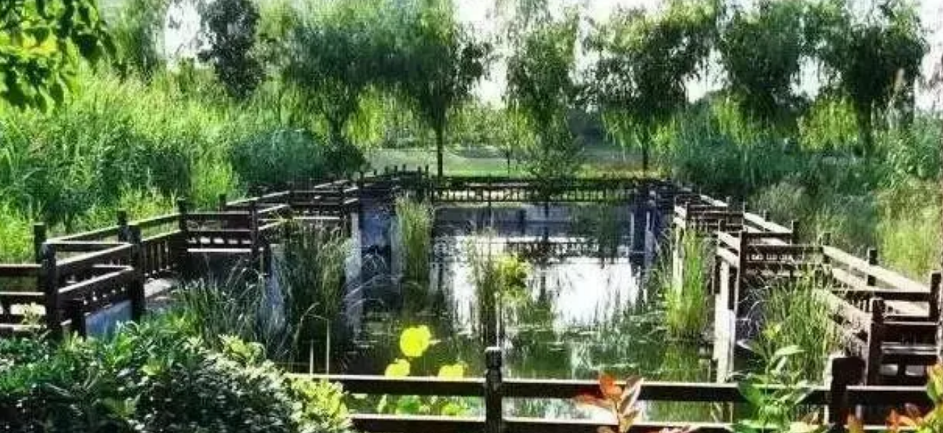 淮水竹亭中餐厅团建之旅的独特体验