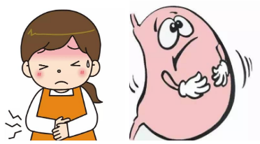 情绪低落与胃痛交织的关联性探究