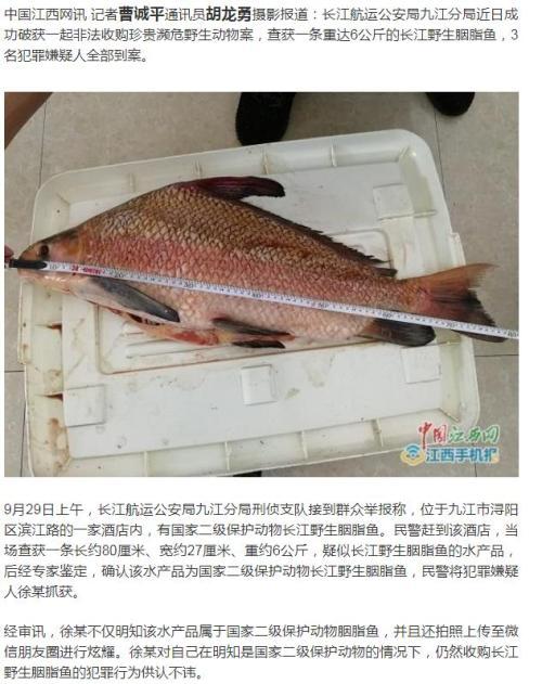 放生动物时需警惕的风险及注意事项
